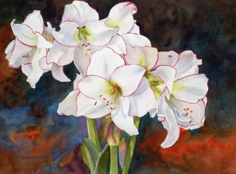 "White Amaryllis" by Kay Smith