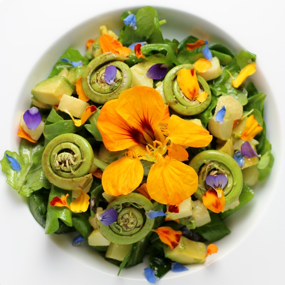 fiddlehead fern and flower salad