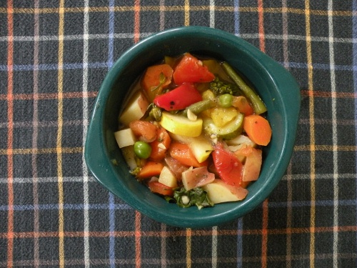bowl of rainbow stew (3)500