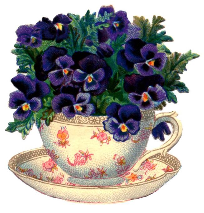 pansies teacup